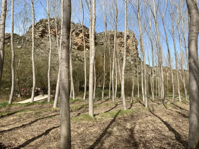 Los Tajos, monumento natural con casa y chiringuito. Finca en Alhama de Granada. — 36