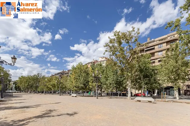 Pisazo en paseo del salón - Granada — 47