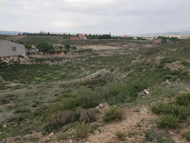 TERRENO RÚSTICO DE 6400 M2, EN PARTIDA DE LA MUELA.