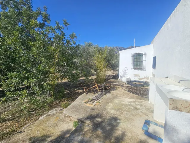 FINCA RUSTICA CERCA DE LA RAPITA ! - foto 5