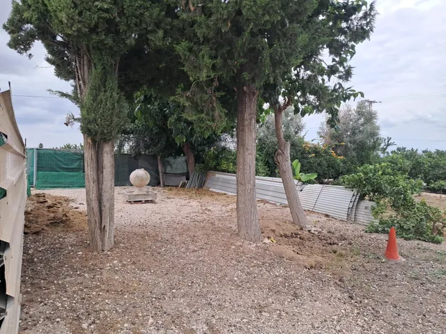 FINCA CON 3 APARTAMENTOS, NAVE Y 2.325 M2 DE PARCELA EN EL RAAL — 6