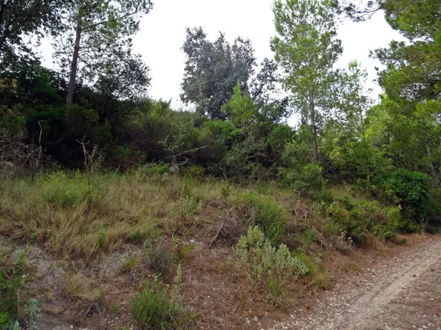 Bodega en venta en Jalon — 17