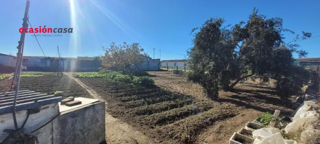 SOLAR RÚSTICO EN VENTA — 7