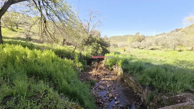 CHALET EN VENTA EN EL PUERTO CALATRAVEÑO — 5