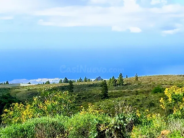 En venta maravillosa finca completamente llana en Vilaflor d
