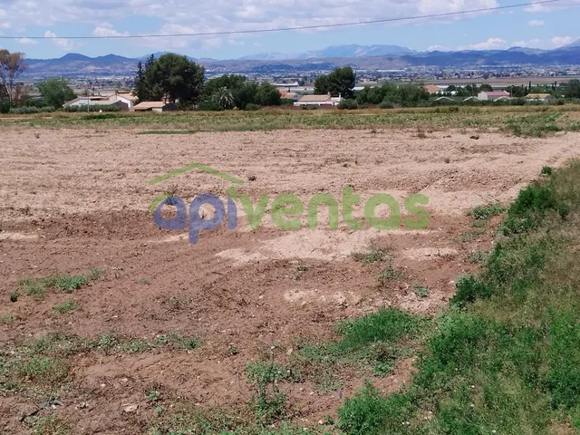 Parcela para construir (PURIAS) — 4