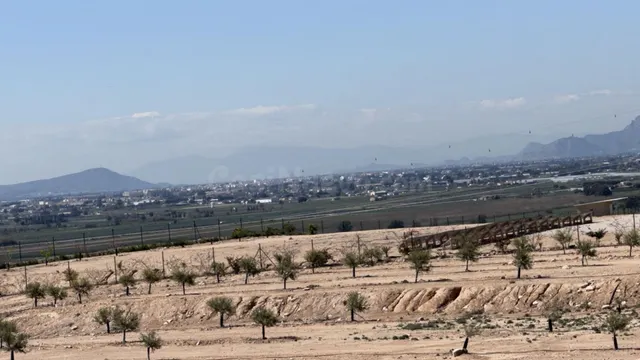 Terreno rústico para proyecto en San Fulgencio (Comunidad Va - foto 4