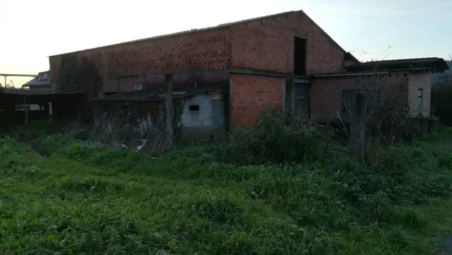 TERRENO Y EDIFICIO EN VENTA - foto 4