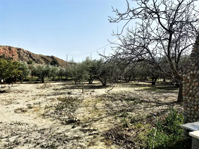 Se vende cortijo a distancia de a pie al pueblo — 37