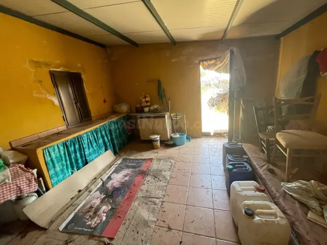 OLIVAR EN VALDEFUENTES CON CONSTRUCCIÓN DE UNOS 25 METROS CU - foto 5