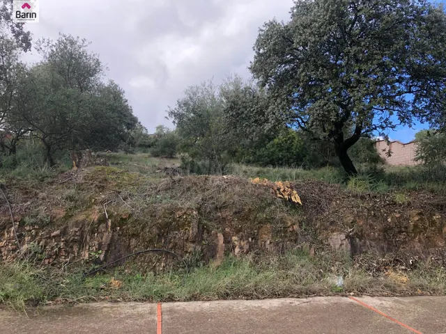 Bonita parcela URBANIZADA el la zona del Brillante - foto 2