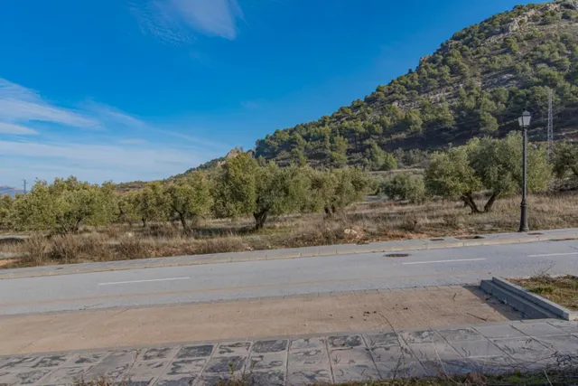 VENTA DE SOLAR URBANO EN URBANIZACION LOS CARACOLILLOS EN NIVAR CON UNA ESPECTACULAR ubicación — 33
