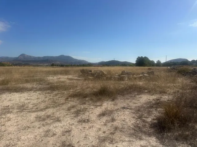 Terreno Rural Agrario de 13.000 m2 en Beties – Monóvar — 6