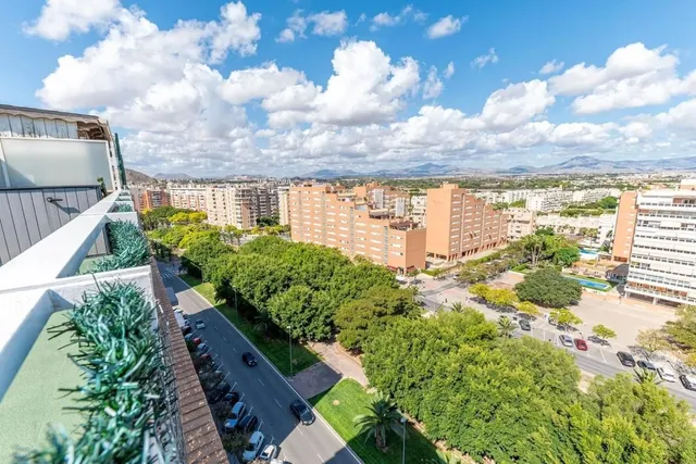 Apartamento 5 habitaciones 253m² en venta - Playa de San Juan — 18