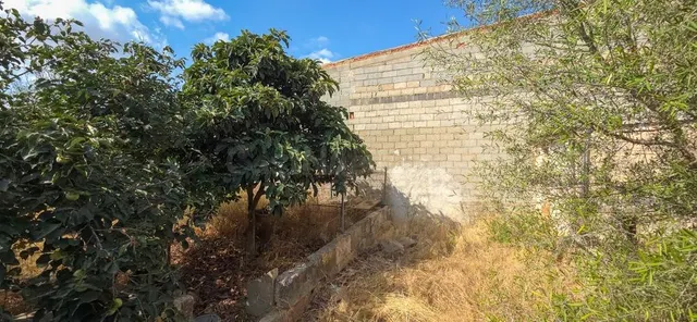Solar urbano en venta en Ses Salines - foto 2
