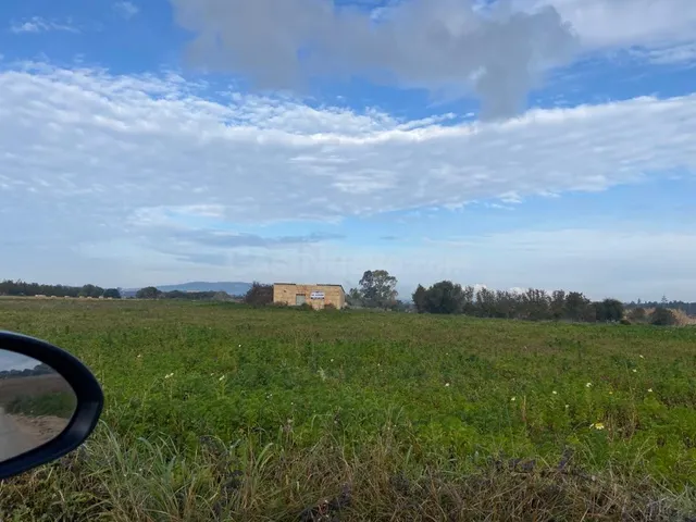 Finca rústica edificable en Manacor - foto 2