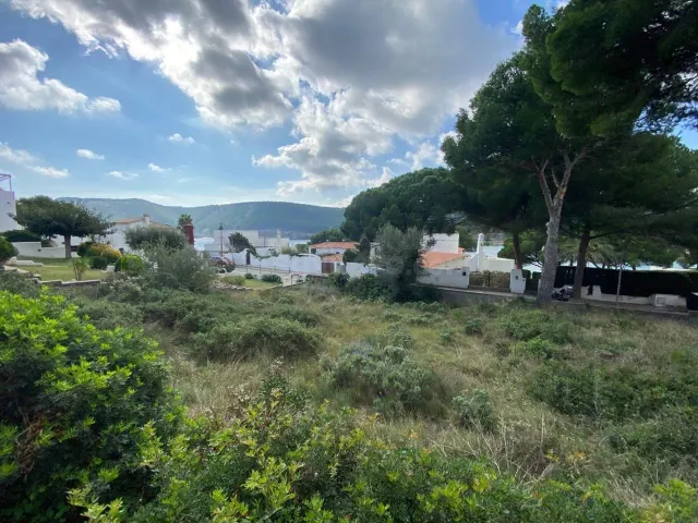 Terreno en Montgó - foto 5