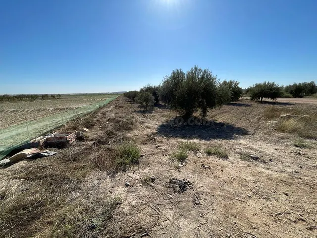 TERRENO RURAL EN VENTA EN MAZARRON - foto 2
