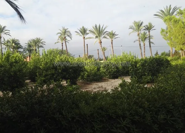Excelente Finca con caballerizas en El Palmar (Murcia) — 49