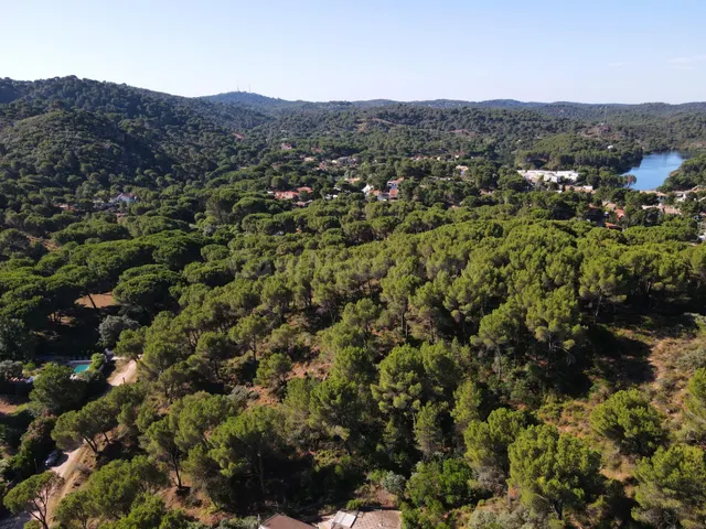 ¡¡PARCELA URBANA EN LAS JARAS!!! - foto 4