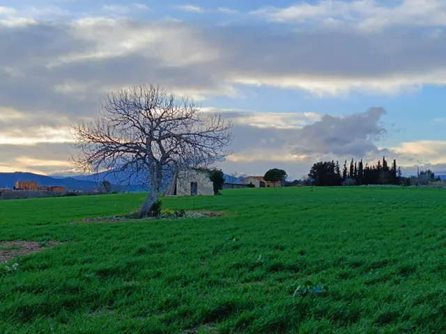 Dos parcelas rústicas juntas entre Tordera y Blanes — 2