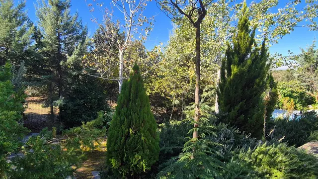 Precioso chalet con espectacular piscina y jardín autóctono — 17