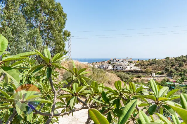 Casa rústica con piscina en Los Cortijos, Rincón de la Victo - foto 3