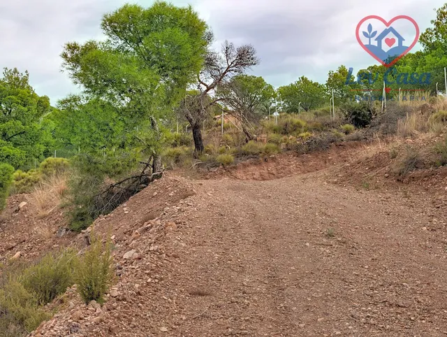FINCA DE 10.400 M2 CON PISCINA EN SIERRA ESPUÑA — 120.000 € — 22