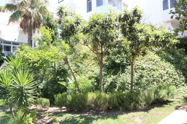 Apartamento 2 habitaciones 88m² en venta - Marbella — 12