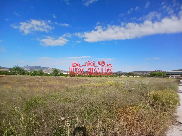 ¡¡ PRECIOSA PARCELA 1979 m2 EN LA ALGUEÑA !! — 3