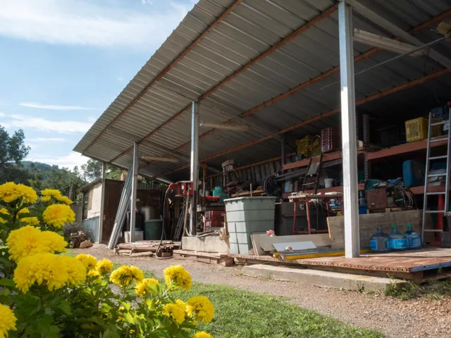 Finca Rústica de 20.000m2 con vivienda en venta. — 45