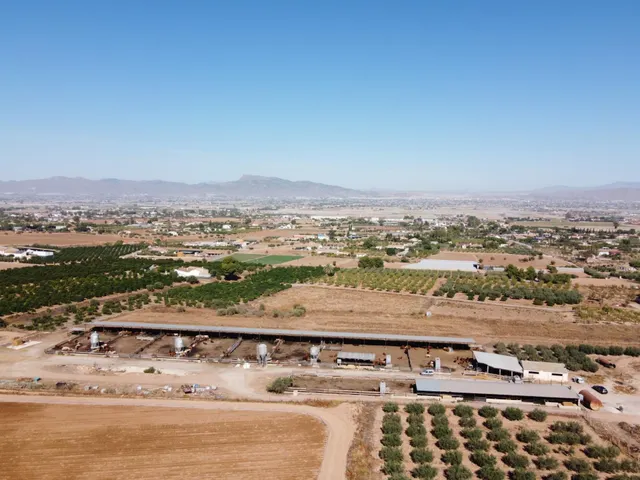 Gran explotación ganadera en lorca: capacidad para 760 cabezas y finca agrícola en producción — 4