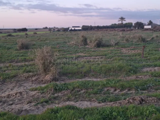 Parcela de 12.000 m2 en marquesado — 5