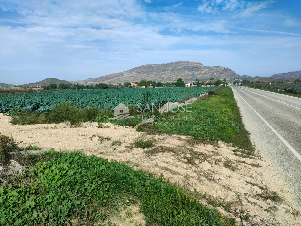 NUEVA PROPIEDAD SE VENDE TERRENO RURAL EN MONFORTE DEL CID EN EL CAMINO SAN VICENTE