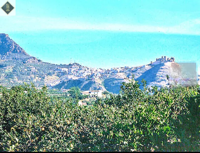 Finca - chalet en Alora — 38