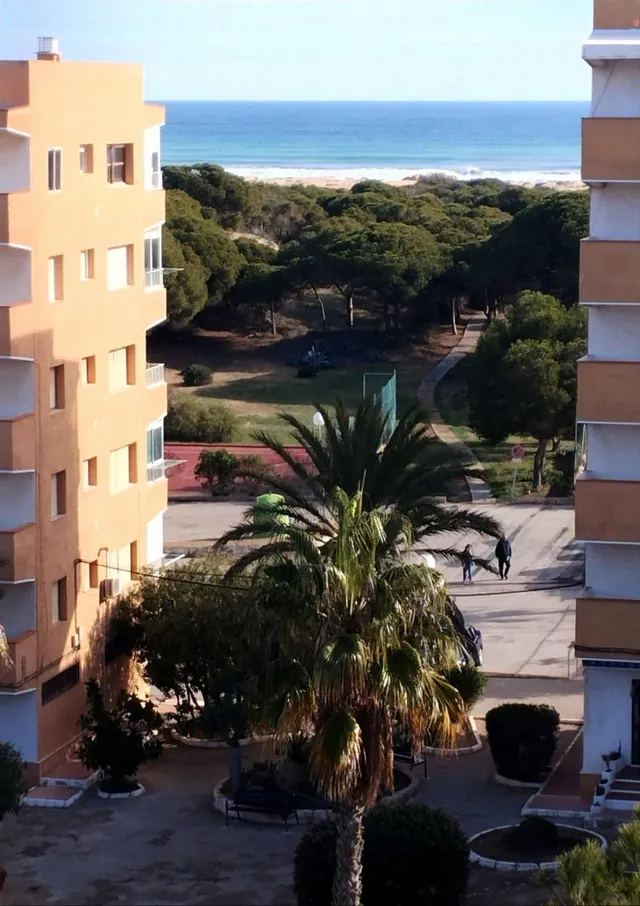 Apartamento 2 habitaciones 42m² en venta - Urbanizaciones — 11