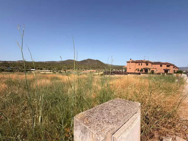 PARCELA EN VENTA EN LAS PEDRERES SANTA OLIVA - foto 3