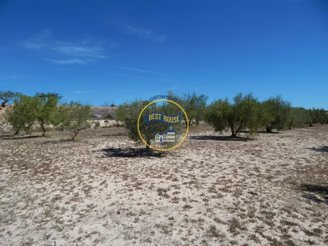 TERRENO DE 17.900M2  EN PRODUCCIÓN CON POSSIBILIDAD DE CONSTRUIR EN AGULLENT(VALENCIA) — 9