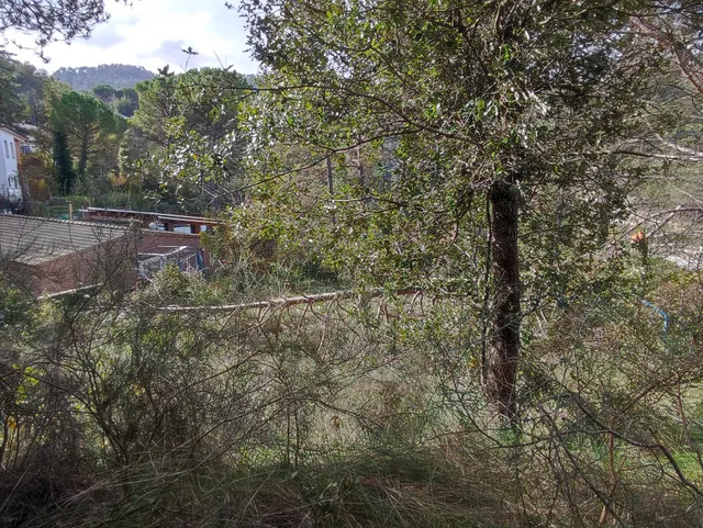 TERRENO EN VENTA EN LA URBANIZACION MASIA DEL SOLÀ (FINCA RUSTICA) MONISTROL DE CALDERS — 17