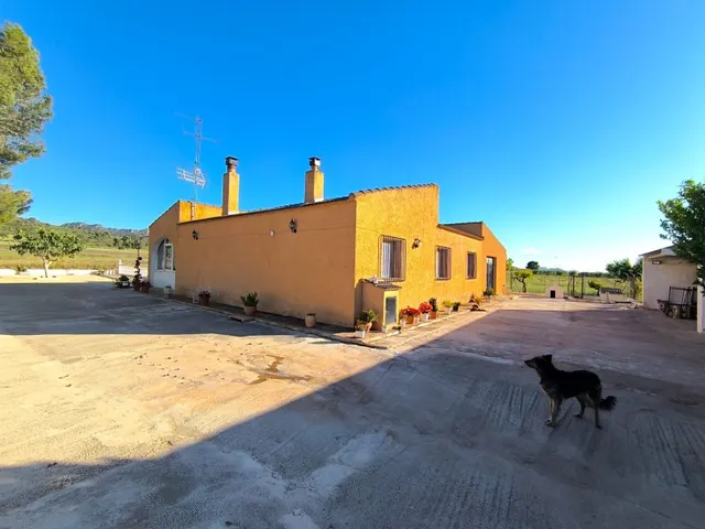 Casa de campo 4 habitaciones 220m² en venta - Ayuntamiento — 6