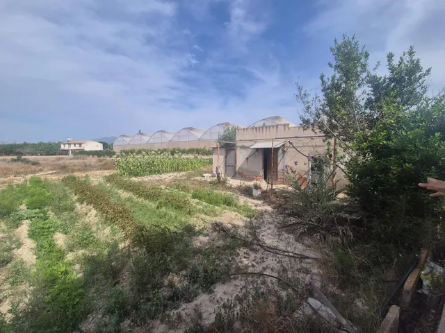 ¡Finca con vivienda y terreno urbano en Villajoyosa, a 10 mi - foto 5