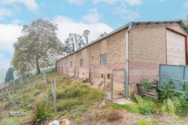 Casa/ Chalet, 4 naves y 21.000 m2 de Finca en Serín, Gijón — 14
