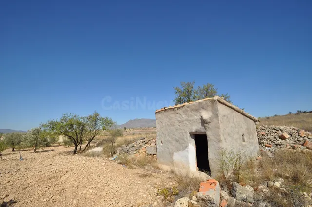 Parcela en venta - Jumilla