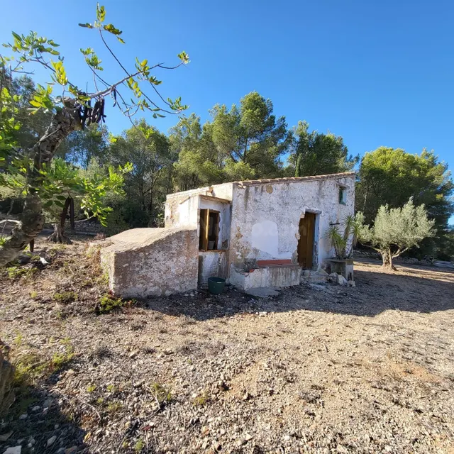 Finca Rústica con caseta de campo para rehabilitar, vistas m - foto 2