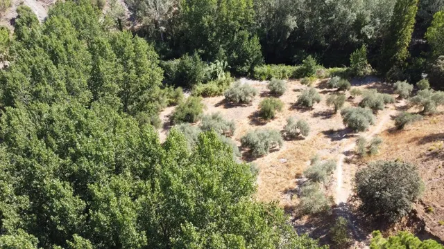 Casa de campo-Masía en Venta en Benastepal Málaga — 10