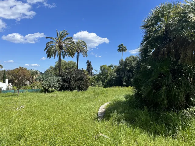Parcela en venta - Sotogrande Costa - foto 4
