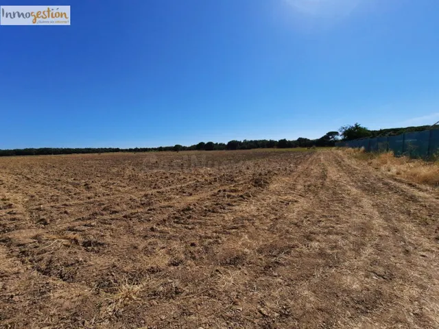 TERRENO RÚSTICO EN VENTA EN TUDELA DE DUERO (VALLADOLID) - foto 3