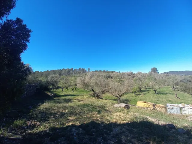 APROVECHAR DE LA NATURALEZA - foto 2
