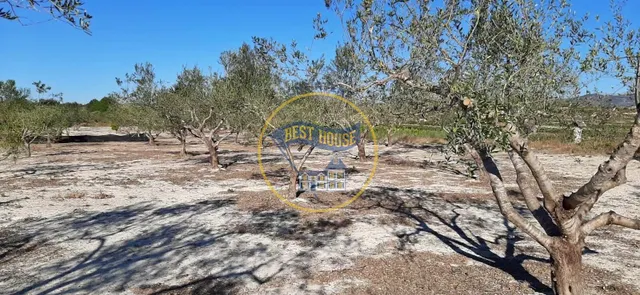 CASITA CON TERRENO EN ALBAIDA — 28