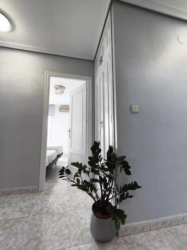 LUJOSO PISO EN MOLINA DE SEGURA — 32